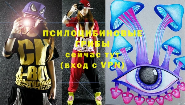 герыч Вязники