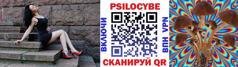 МЕГА как зайти  Меленки  Галлюциногенные грибы мицелий 